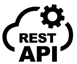 Rest Api icon